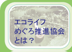 �G�R���C�t�߂���ɂ���