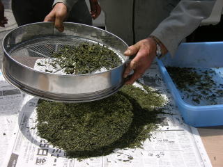 �ӂ邢�ő傫���𑵂��܂�