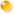 �X�V�L�^