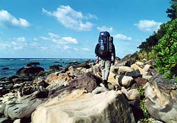 �앗���c�����l�܂ł̓��̂�