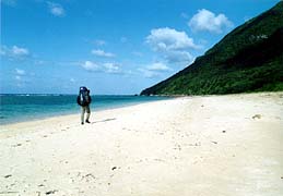 �앗���c�����l�܂ł̓��̂�