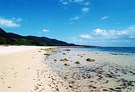 �앗���c�C��