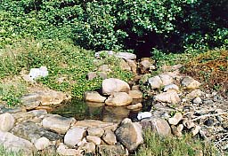 �{���l�̐���