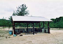 �앗���c�̕l�����ɐV�����ł����L�����v��