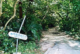 �앗���c�̕l�̓���