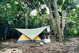 �앗���c�̕l�̖h���тɃe���g�𒣂�