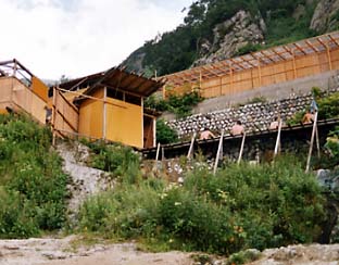 �e���g�T�C�g����ی����̘I�V���C