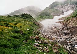 ���C���������k