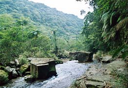 �C�^�W�L��i�~��j