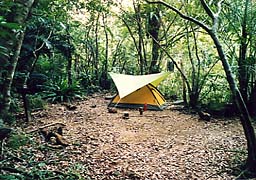 ���\���c�f/�~��(�C�^�W�L��)�o���ŃL�����v