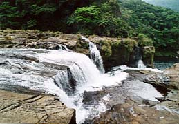 �}���E�h�̑�╍��