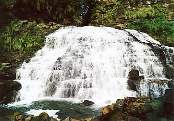 �}���O�X�N�̑�