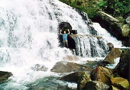 �}���O�X�N�̑�