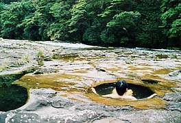 �|�b�g�z�[��