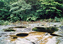 �J���s���[��߂��̃|�b�g�z�[��