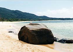 �앗���c�i�͂��݂��j�̕l�^���ꐼ�\��