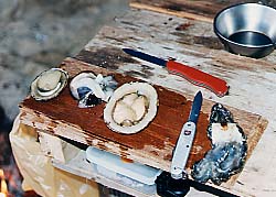 ���\���앗���c�̕l�ō̂����V���R�L