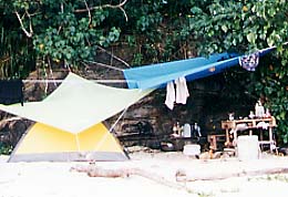 ���\���Œ����e���g��炵