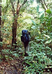 ���\���c�f/�o�R���̗l�q