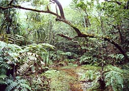 ���\���c�f�g���b�L���O/���M�їт̗l�q