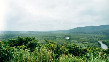 ���\���c�f/���Ԑ�̃}���O���[�u�т������낷