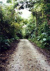 ���\���c�f/��x�ѓ�