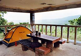 ���\���c�f�̓���/���Ԑ�W�]��̓���