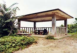 ���\���c�f�̓���/���Ԑ�W�]��̓���