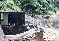 �_������O��