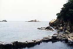 �_������