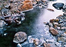 �������򌹐�̂ЂƂ�