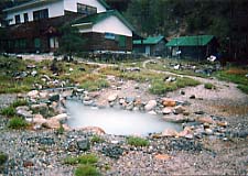 ��������E�������̘I�V���C���̂P