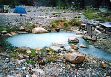 �������̘I�V���C���̂Q�i��������j