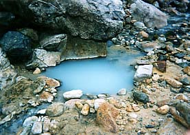 ��������̎�@��I�V���C�i�쓒�j