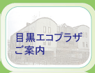 �ڍ��G�R�v���U�ɂ���