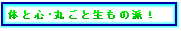 ̂ƐSۂƐ̔hITop