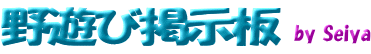 ��ͷ�ӷǼ���