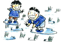 田植え