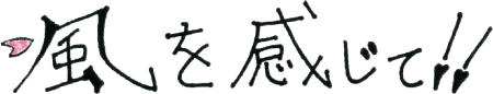 風の風景